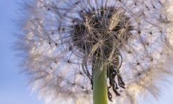 Featured image of post 博客