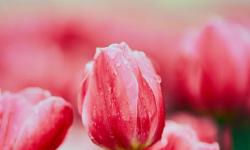 Featured image of post 数据库