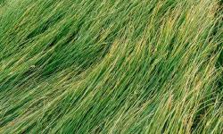 Featured image of post 科研