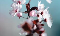 Featured image of post 算法