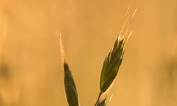 Featured image of post Java