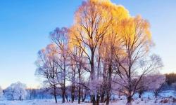 Featured image of post JavaScript